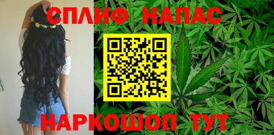 ГАЛЛЮЦИНОГЕННЫЕ ГРИБЫ Ставрополь