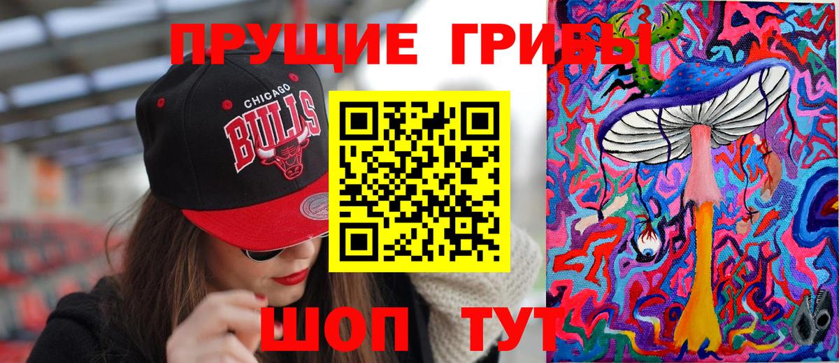 Псилоцибиновые грибы Psilocybine cubensis Павловский Посад