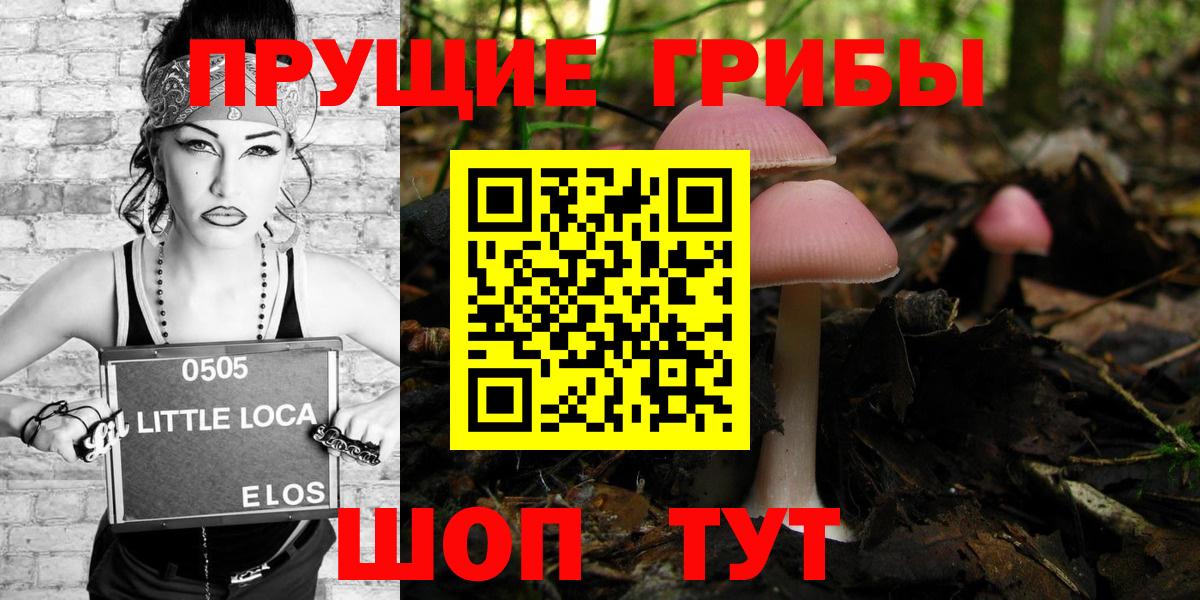 Павловский Посад  Псилоцибиновые грибы прущие грибы  Галлюциногенные грибы прущие грибы  Вход с VPN 